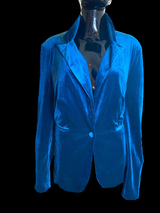 Blue Sky Blazer.