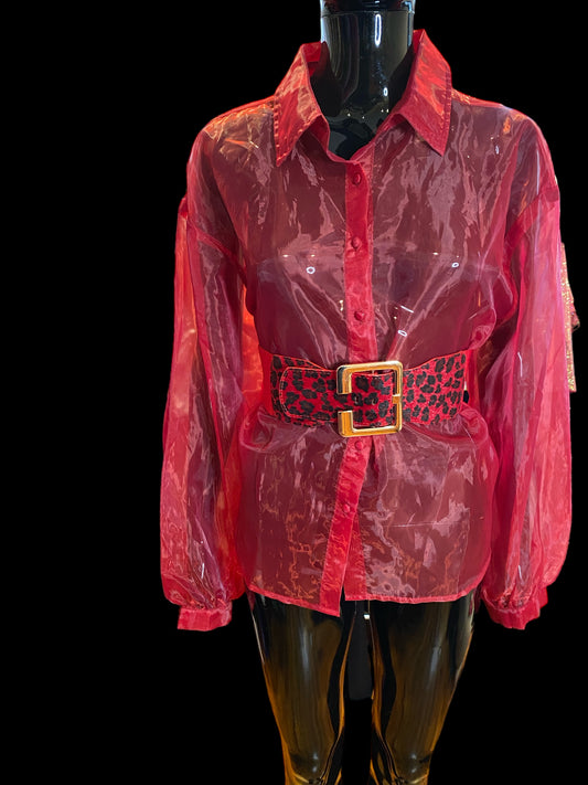 Modern Sheer Top.