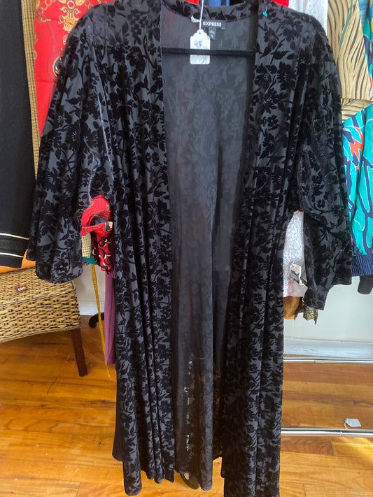 Sheer Velvet Robe